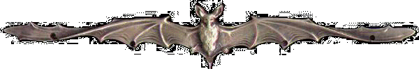 Fledermaus
